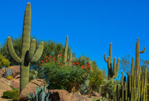Queen Creek AZ Homes Sale